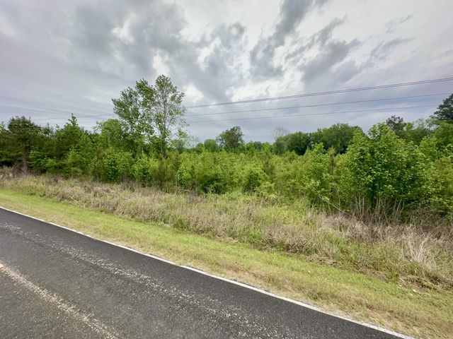 Photo of Tbd Chewning Rd, Pinewood SC
