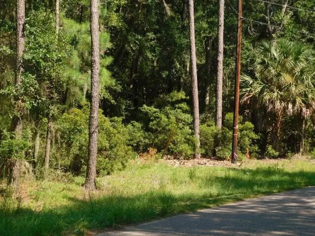 8662 Palmetto Road, Edisto Island