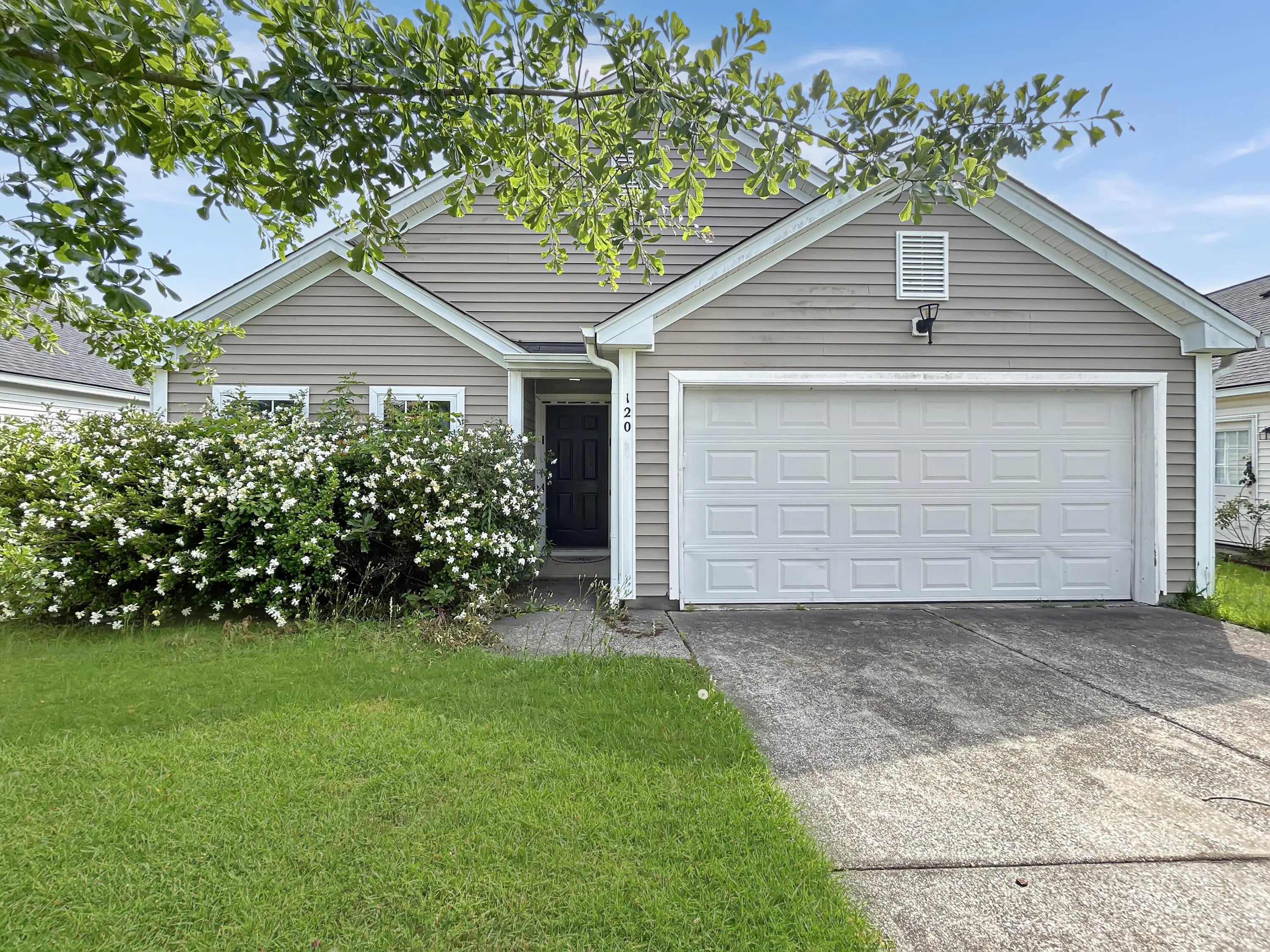 Photo of Listing #25013688