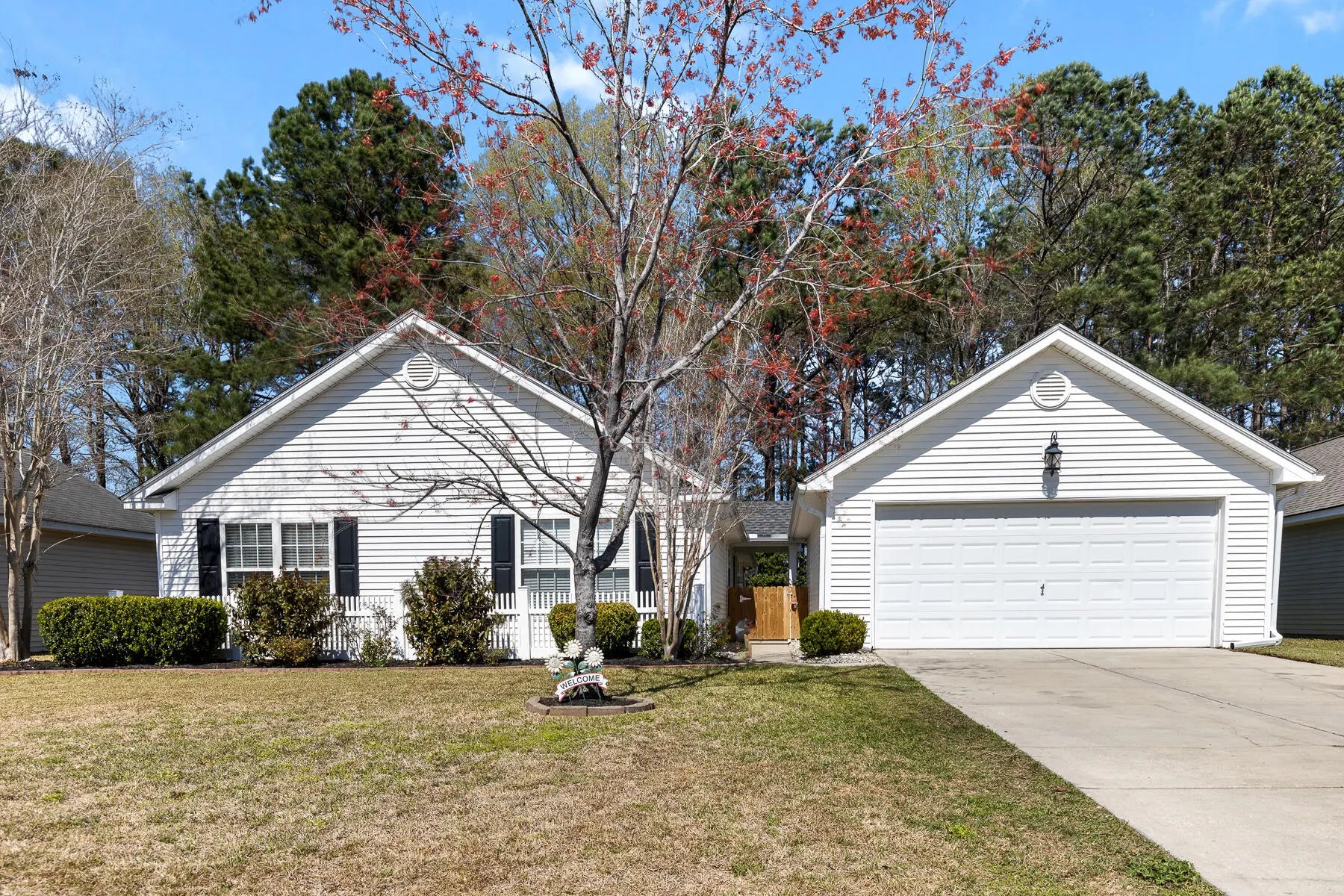 Photo of Listing #25007950