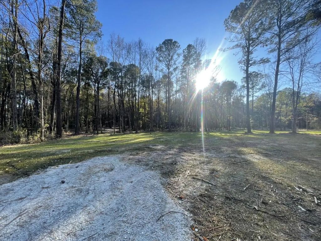 113 Generations Lane, Summerville