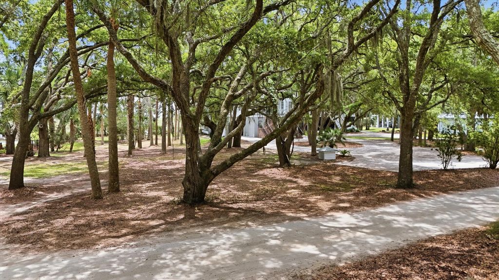 14 Hammocks Way, Edisto Island