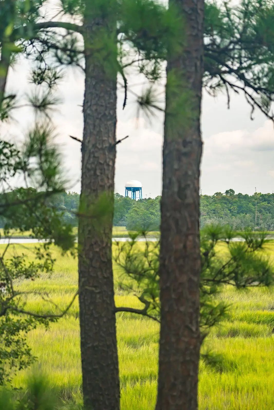 47 Robert Mills Circle, Mount Pleasant, SC, 29464
