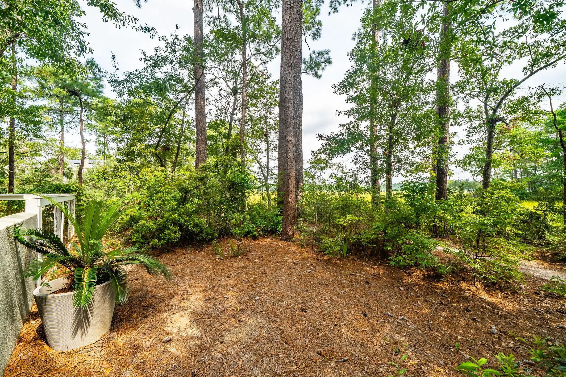 47 Robert Mills Circle, Mount Pleasant, SC, 29464