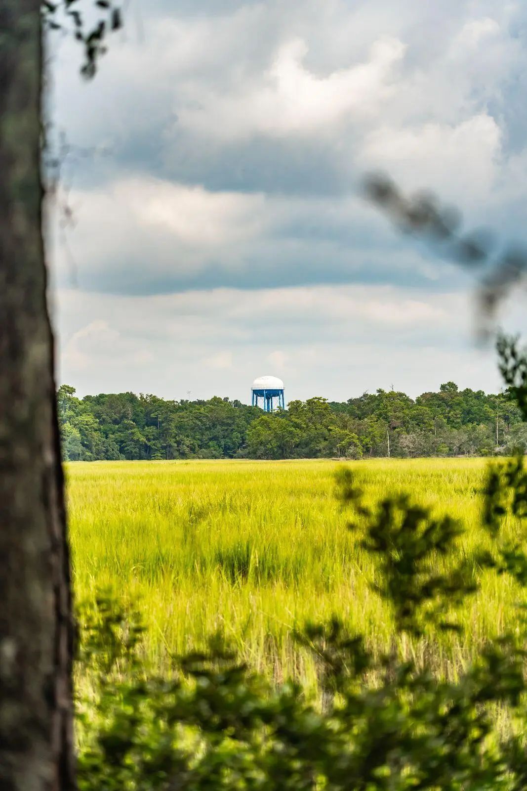 47 Robert Mills Circle, Mount Pleasant, SC, 29464