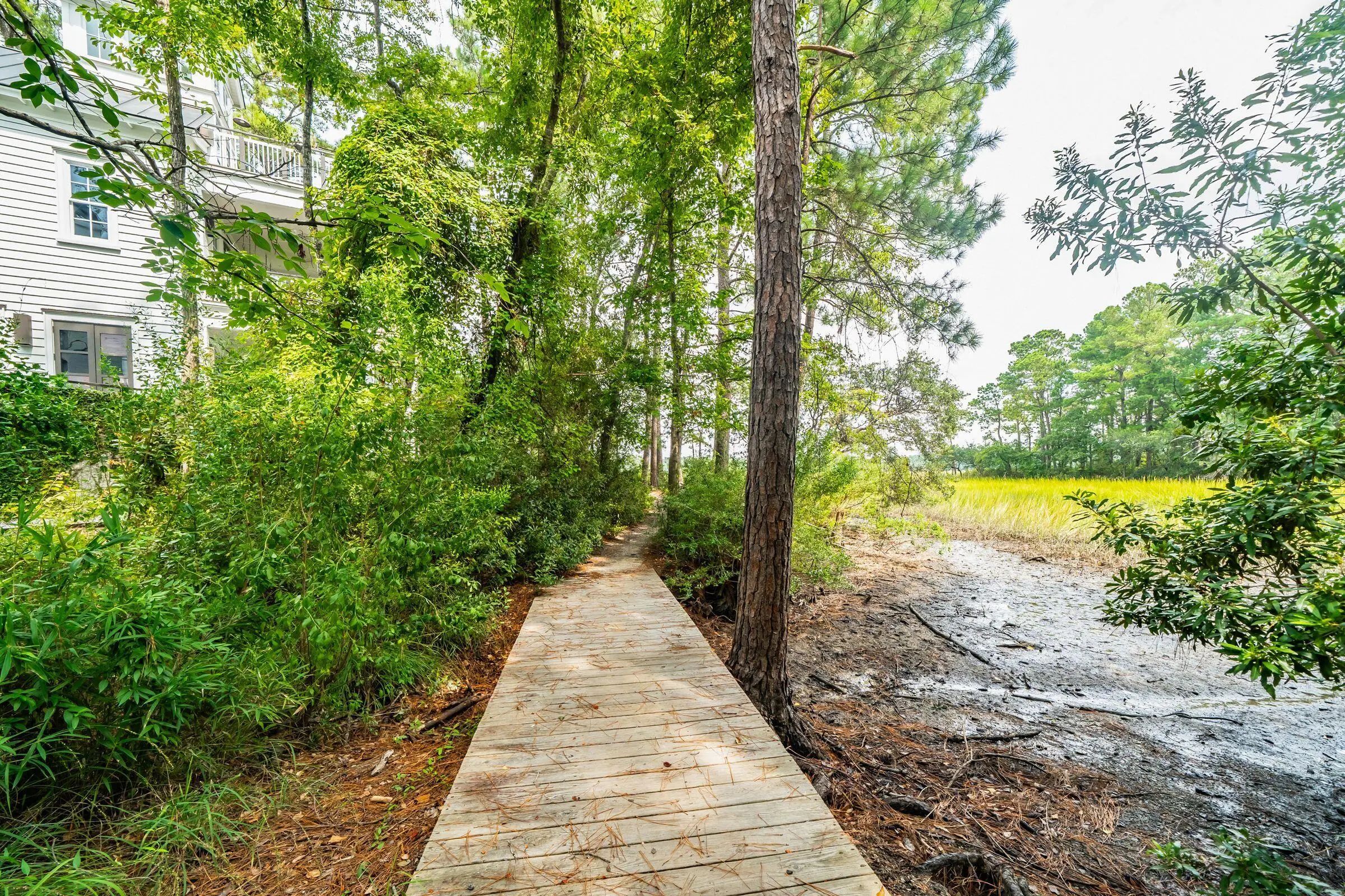 47 Robert Mills Circle, Mount Pleasant, SC, 29464
