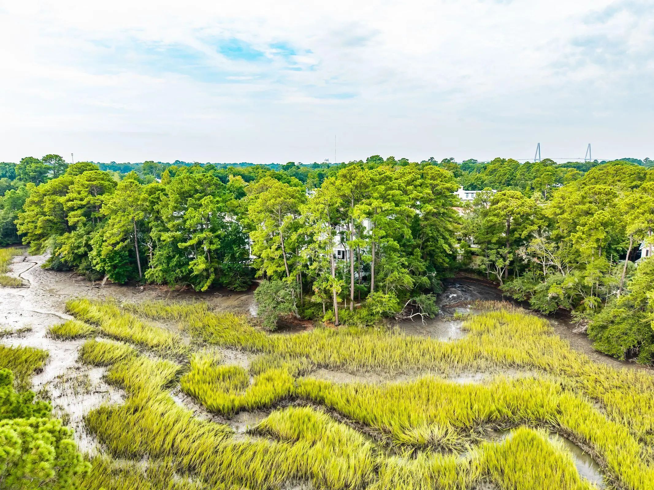 47 Robert Mills Circle, Mount Pleasant, SC, 29464