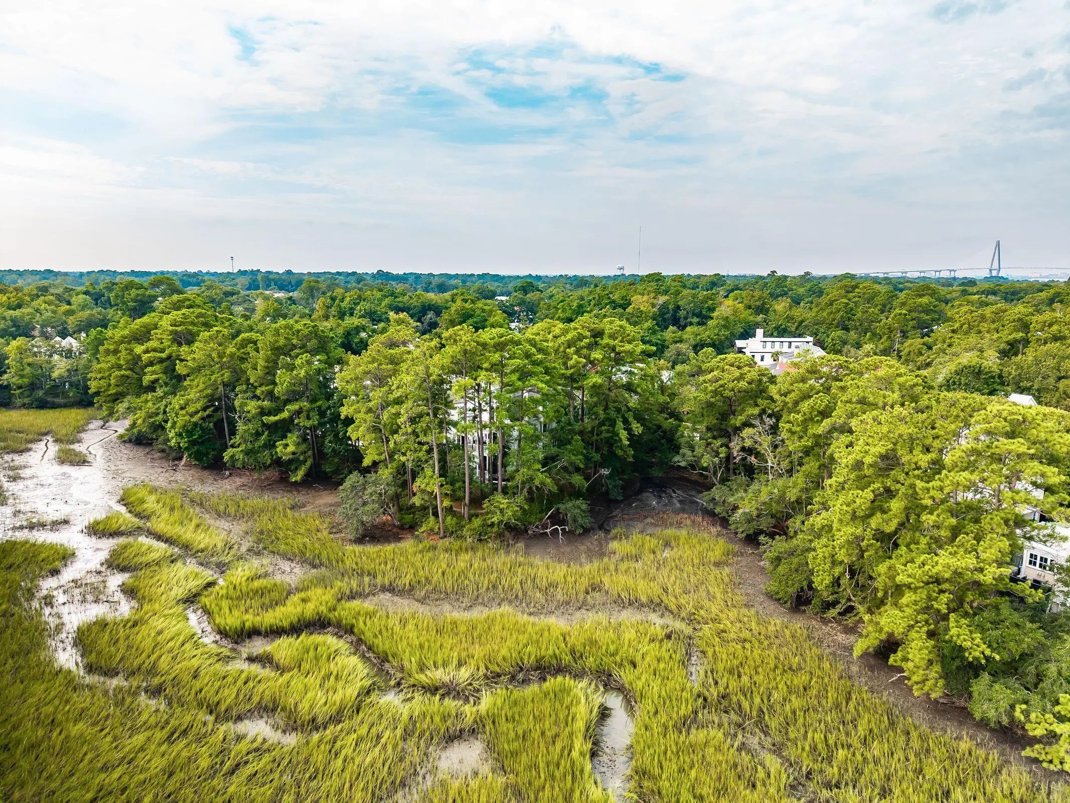 47 Robert Mills Circle, Mount Pleasant, SC, 29464