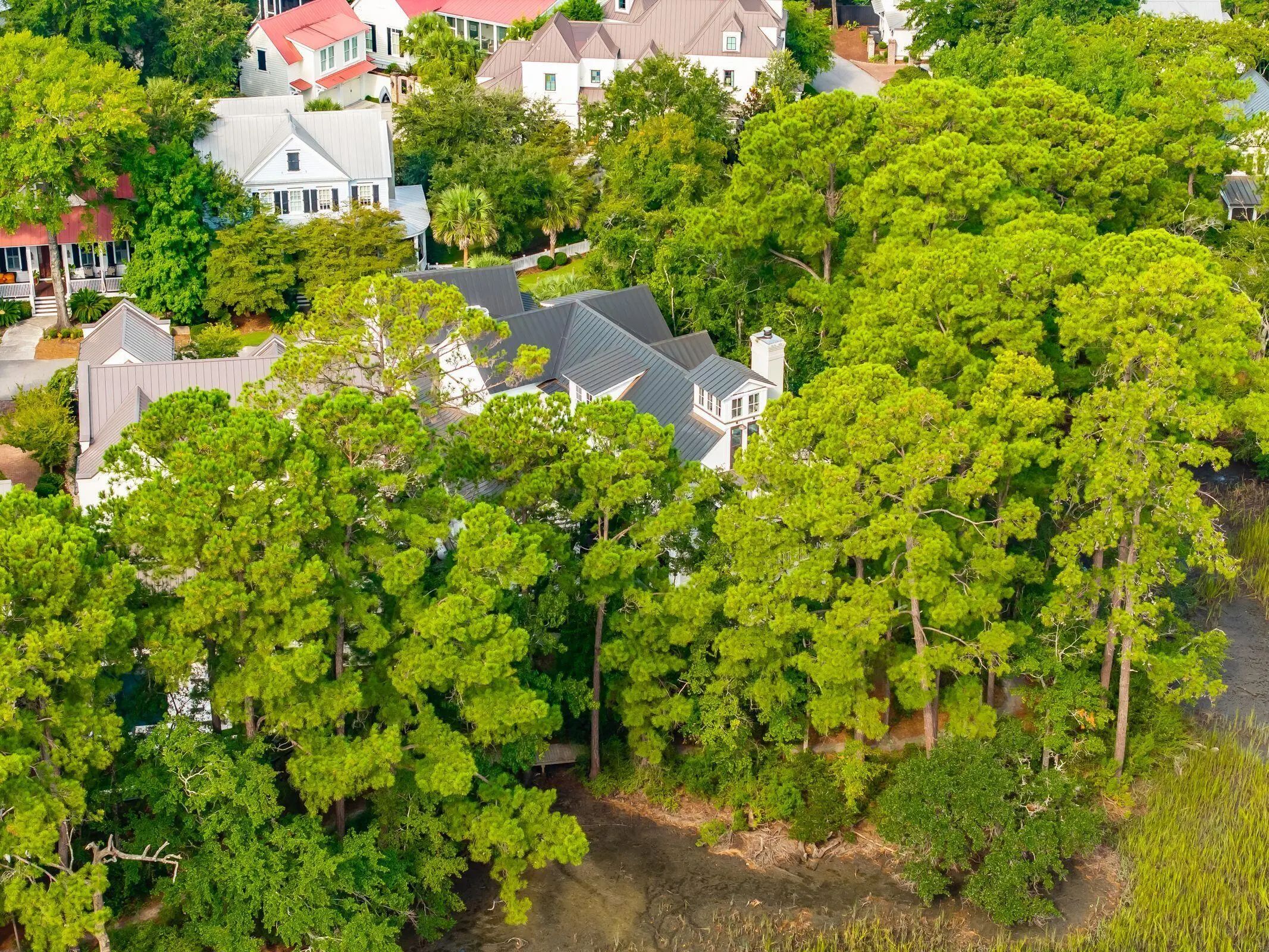 47 Robert Mills Circle, Mount Pleasant, SC, 29464