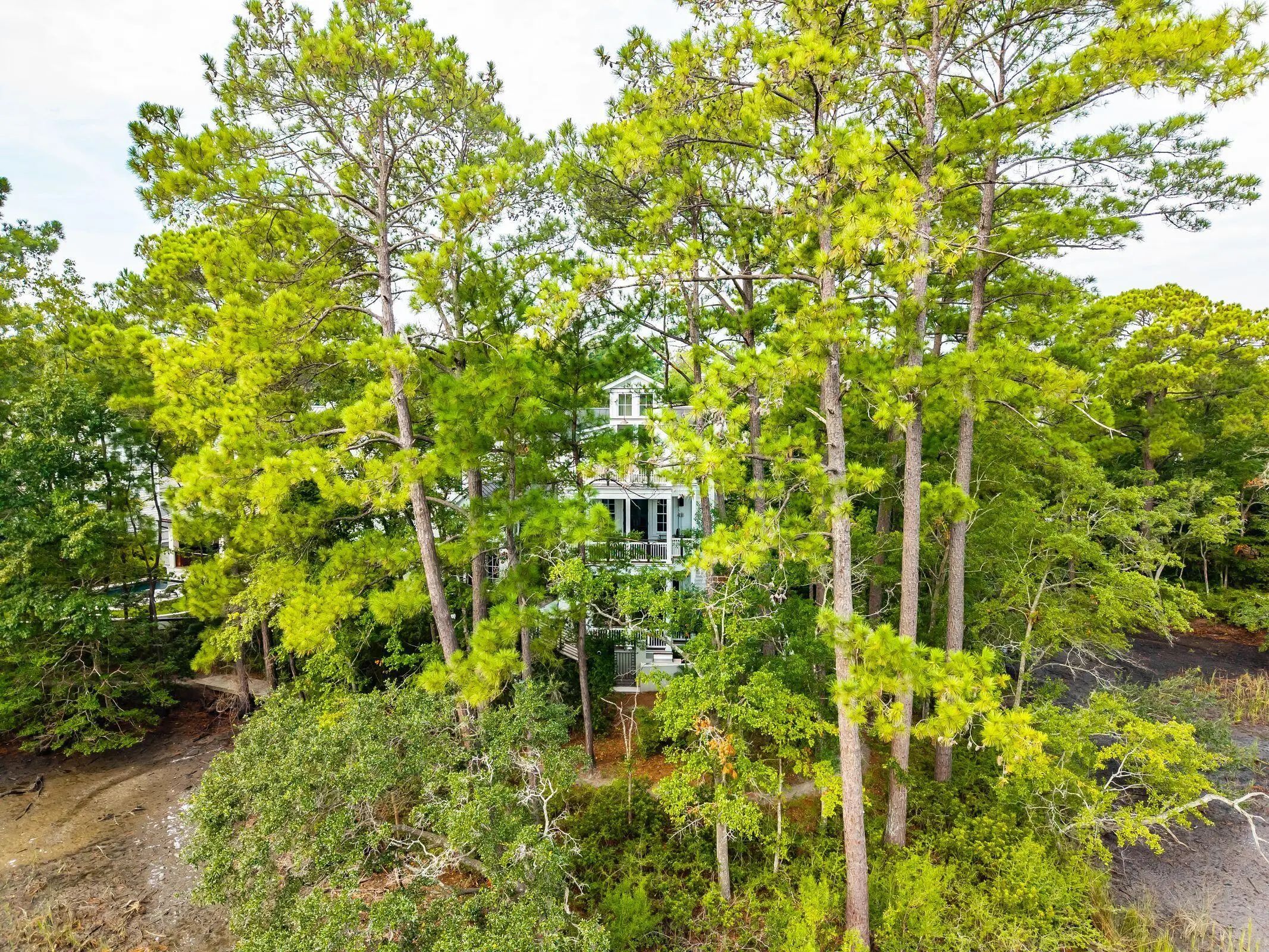 47 Robert Mills Circle, Mount Pleasant, SC, 29464