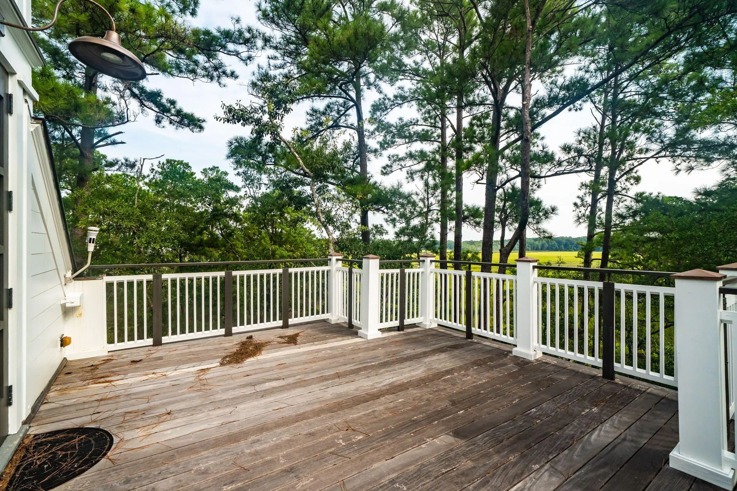 47 Robert Mills Circle, Mount Pleasant, SC, 29464