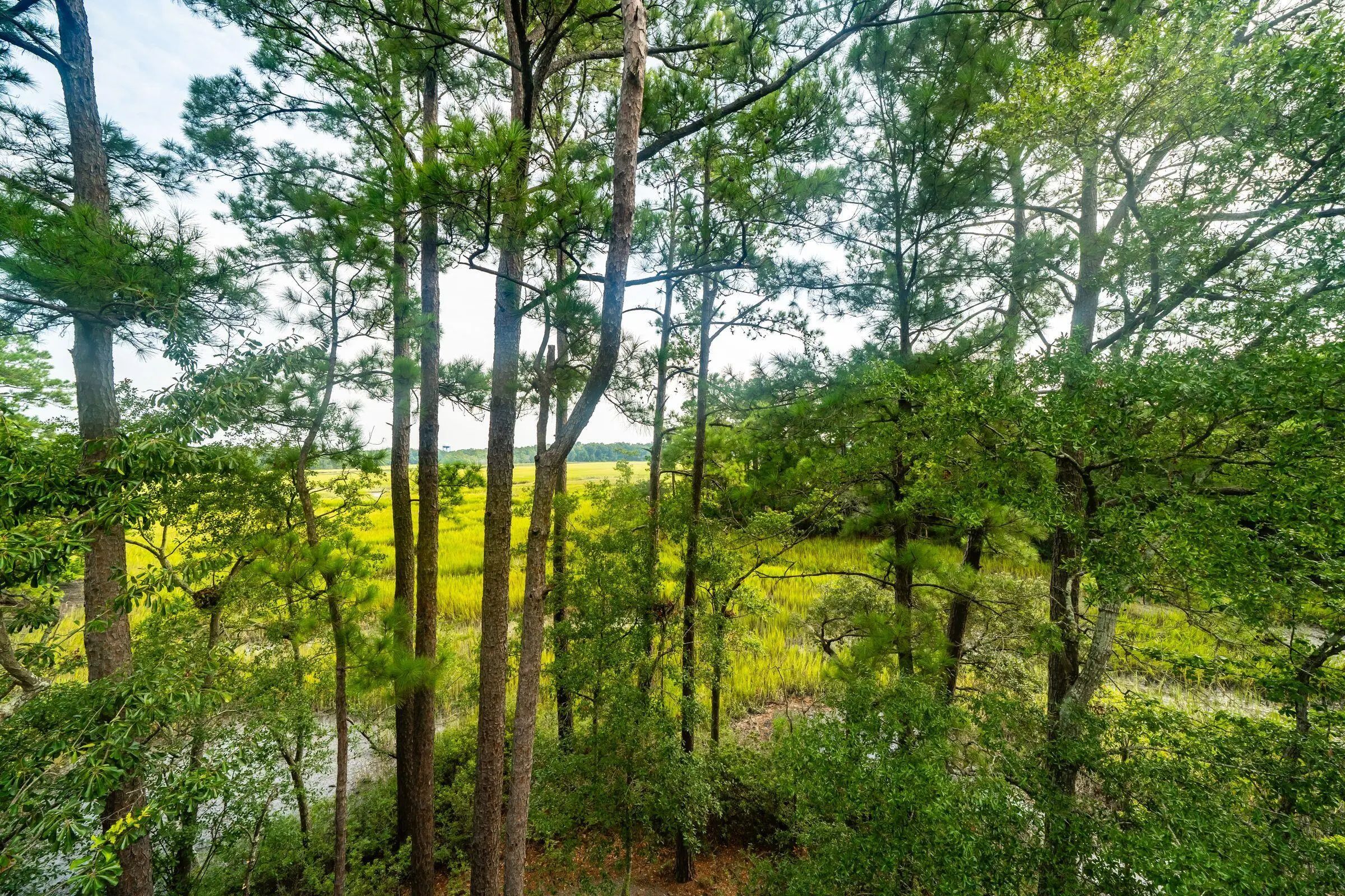 47 Robert Mills Circle, Mount Pleasant, SC, 29464