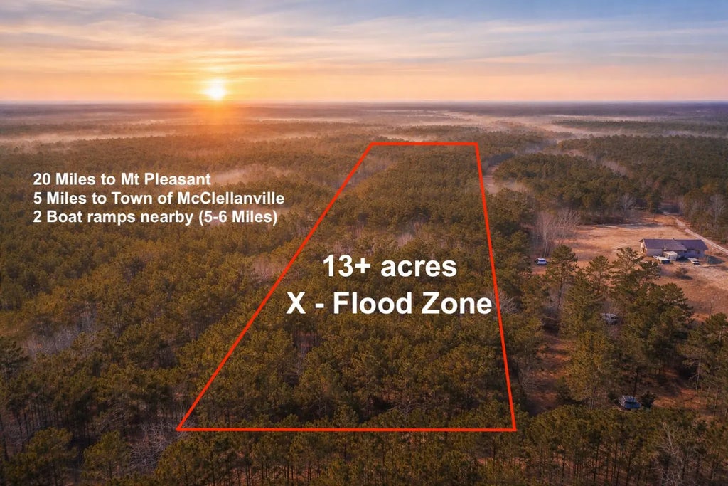 9168 Old Georgetown Road, McClellanville