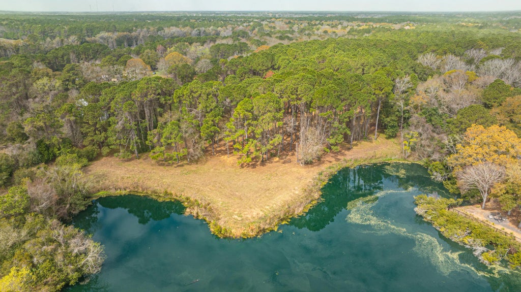 4297 Wild Turkey Way, Johns Island