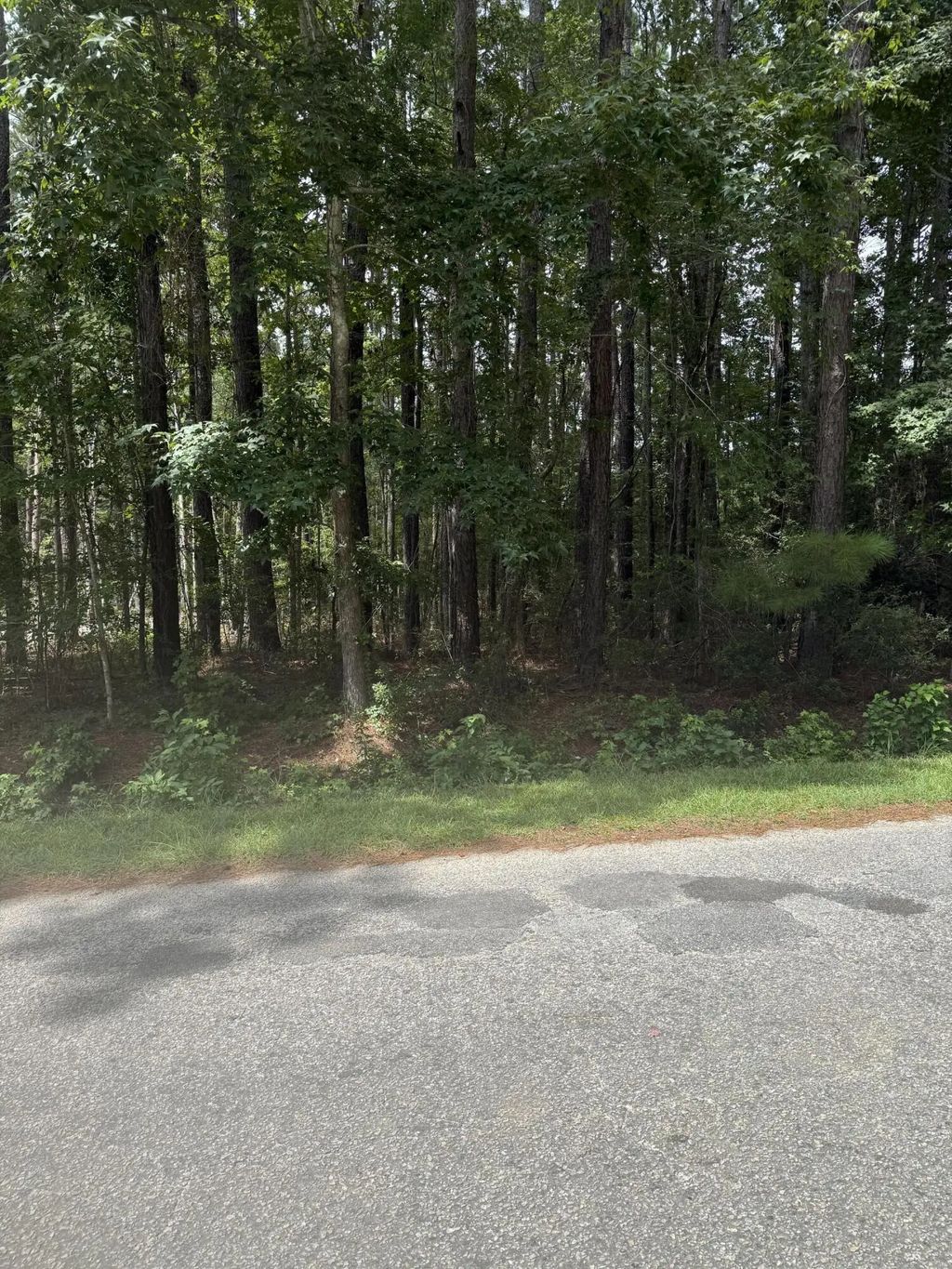 Mary Ellie Drive, Summerville