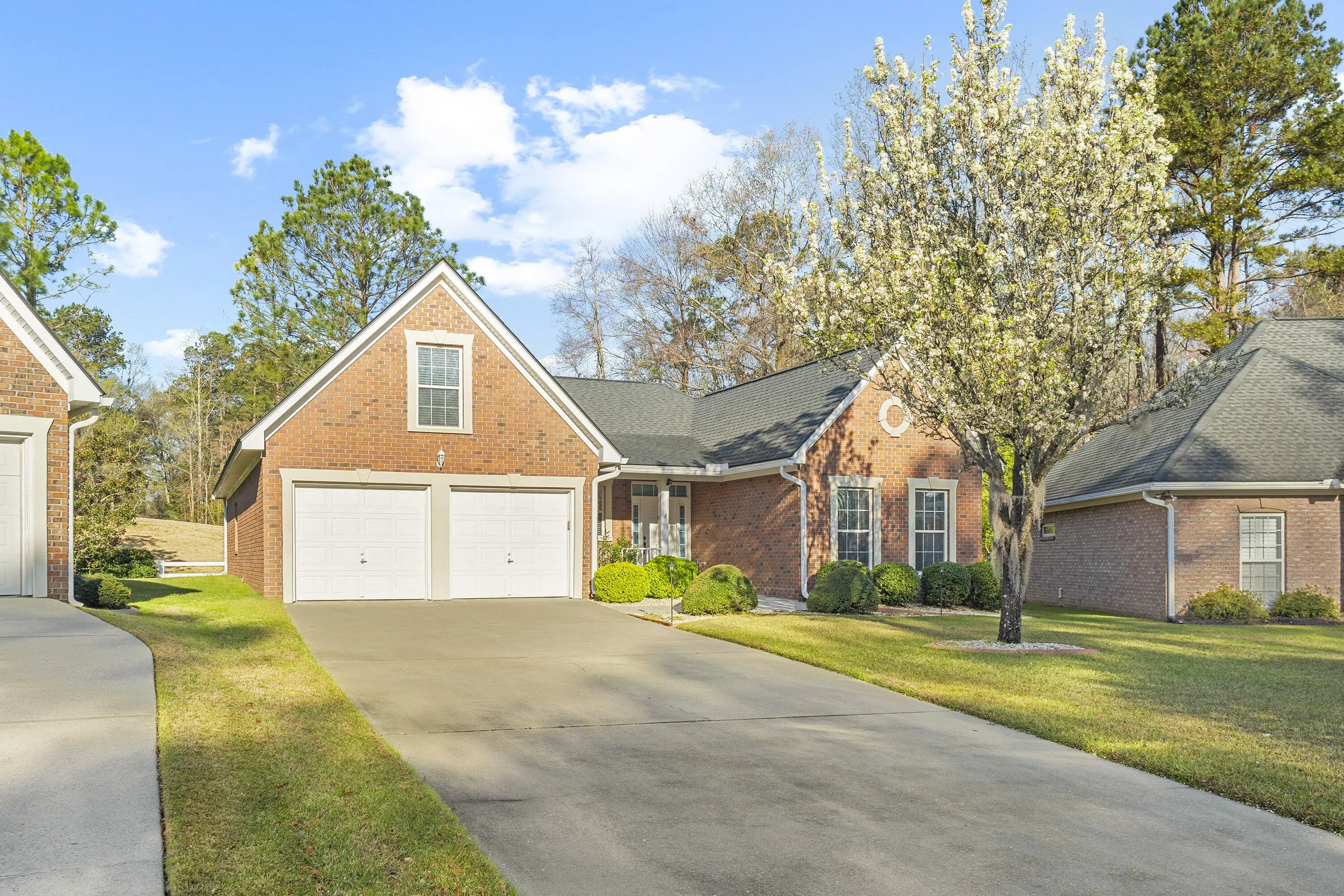 Photo of Listing #25007229