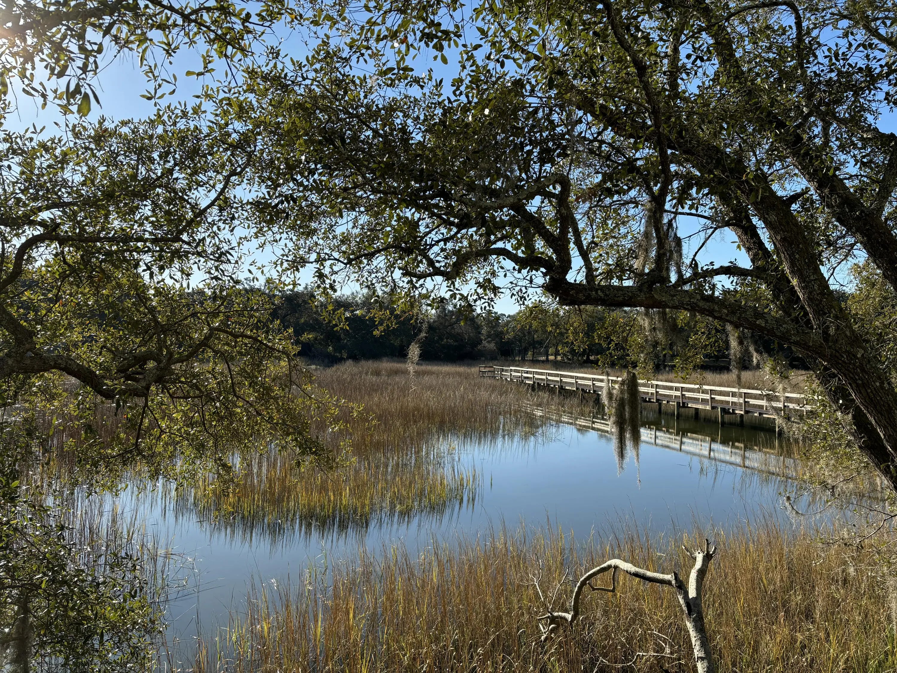 Photo of Listing #25004145