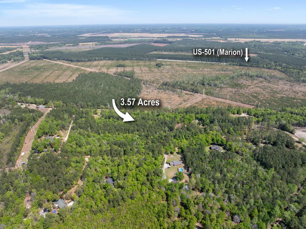 Forest Place, Marion