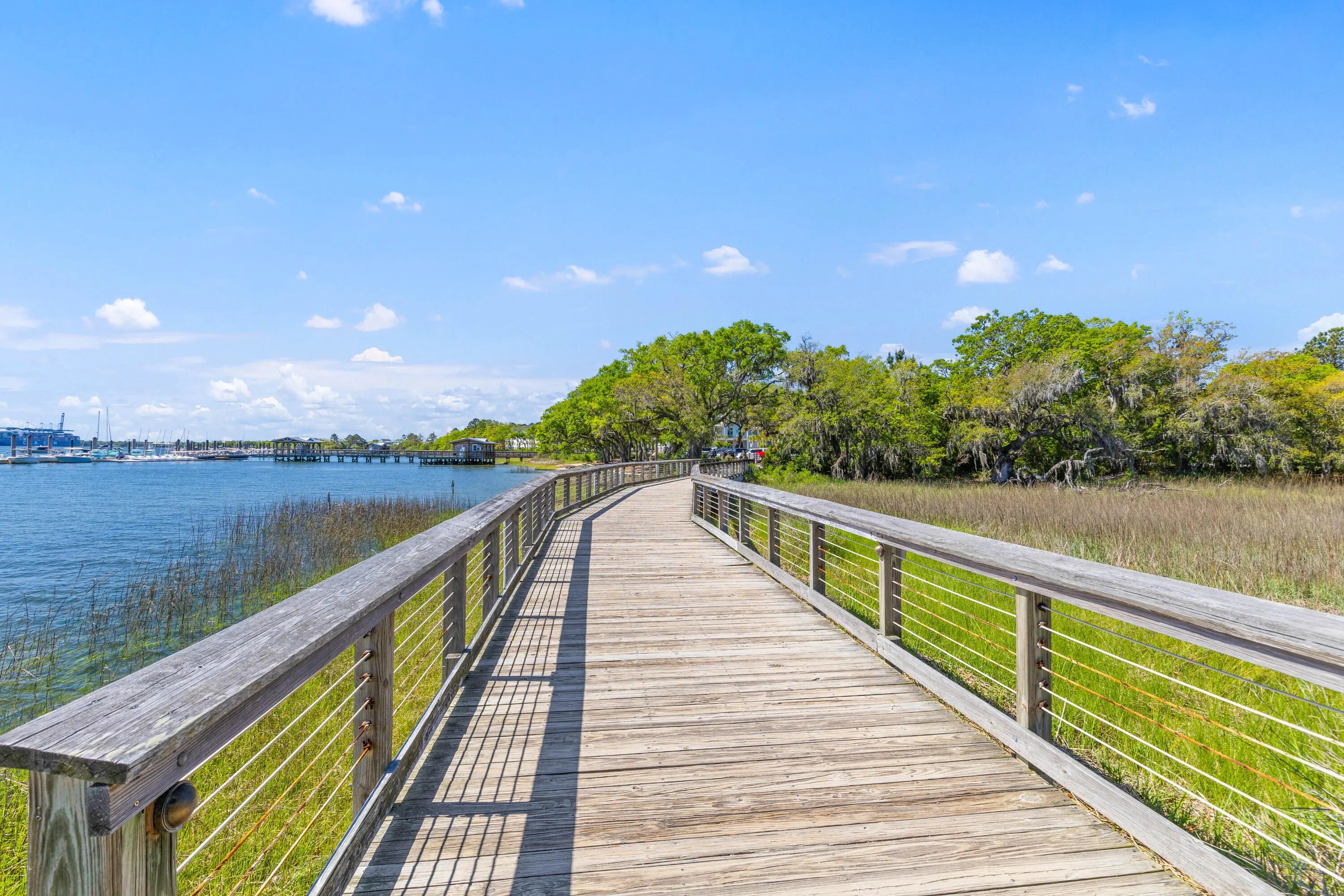 Photo of Listing #25013136