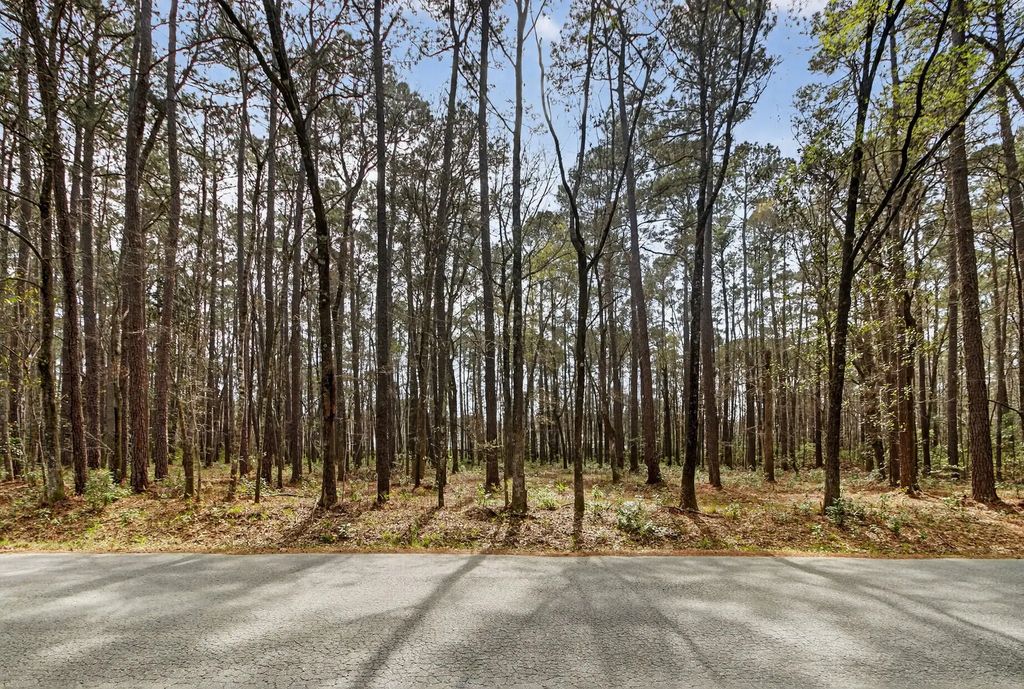 103 Caveson Drive, Summerville