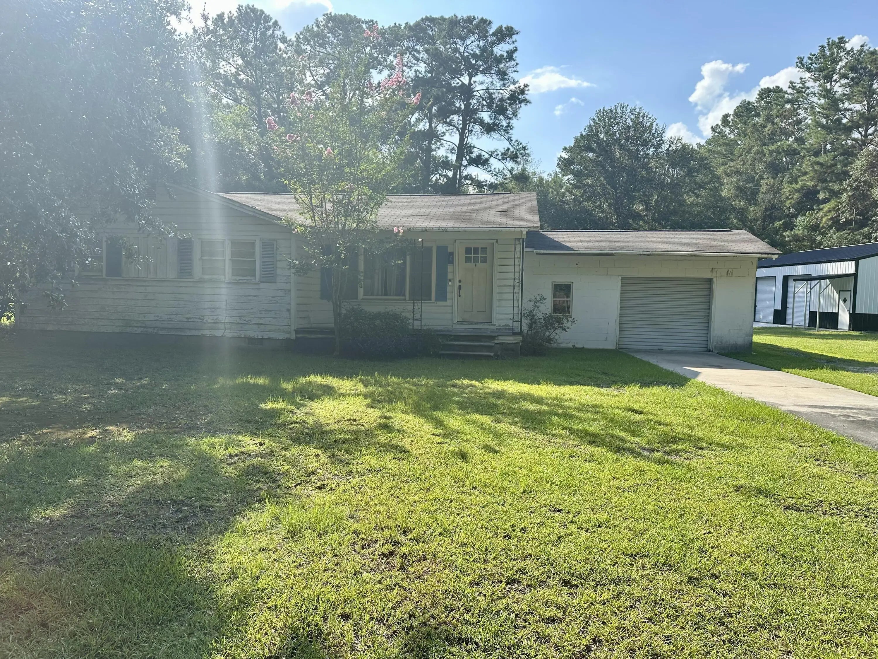 Photo of Listing #25020331