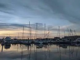 Photo of Listing #25005656