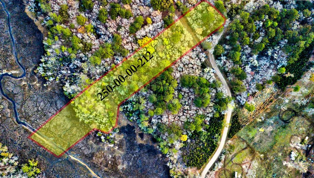 Cooke Road Lot 1, Johns Island