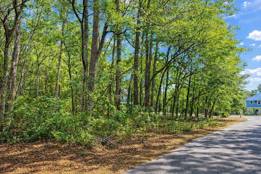 890 Flowers Lane, Edisto Island