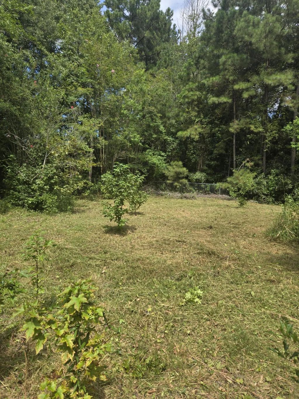 N Hampton Lot 2 Street, Summerville