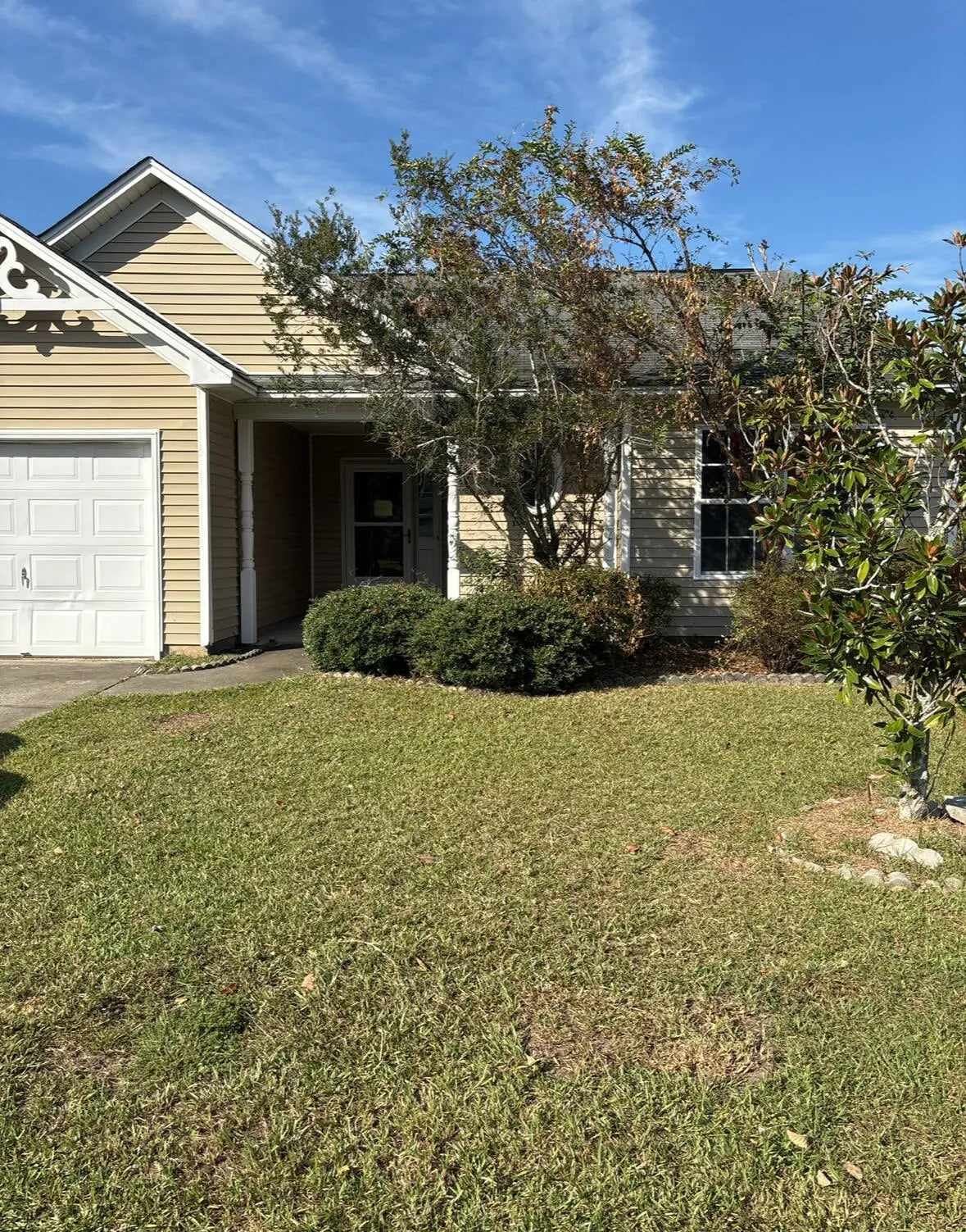 Photo of Listing #25029552