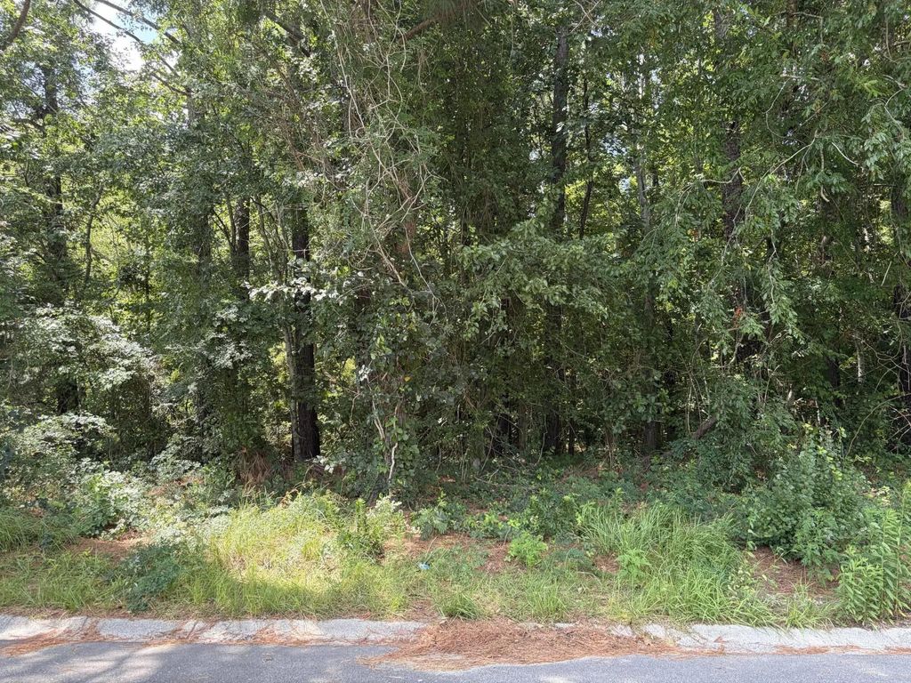 308 E Poplar Branch Drive, Moncks Corner
