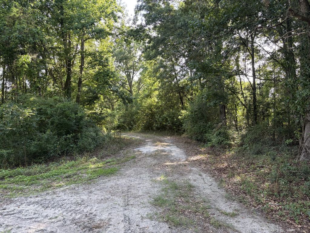 Reevesville, Reevesville