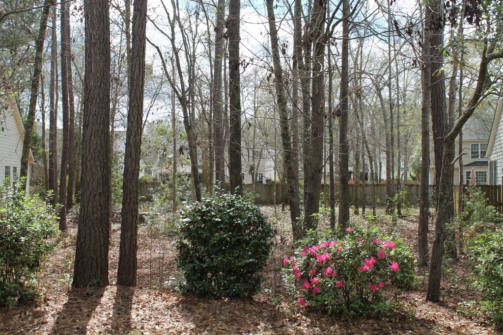 228 Comiskey Park Circle, Summerville