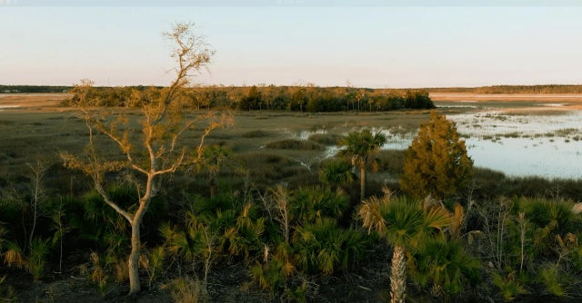Photo of 1124 Ship Builder Street, Charleston SC