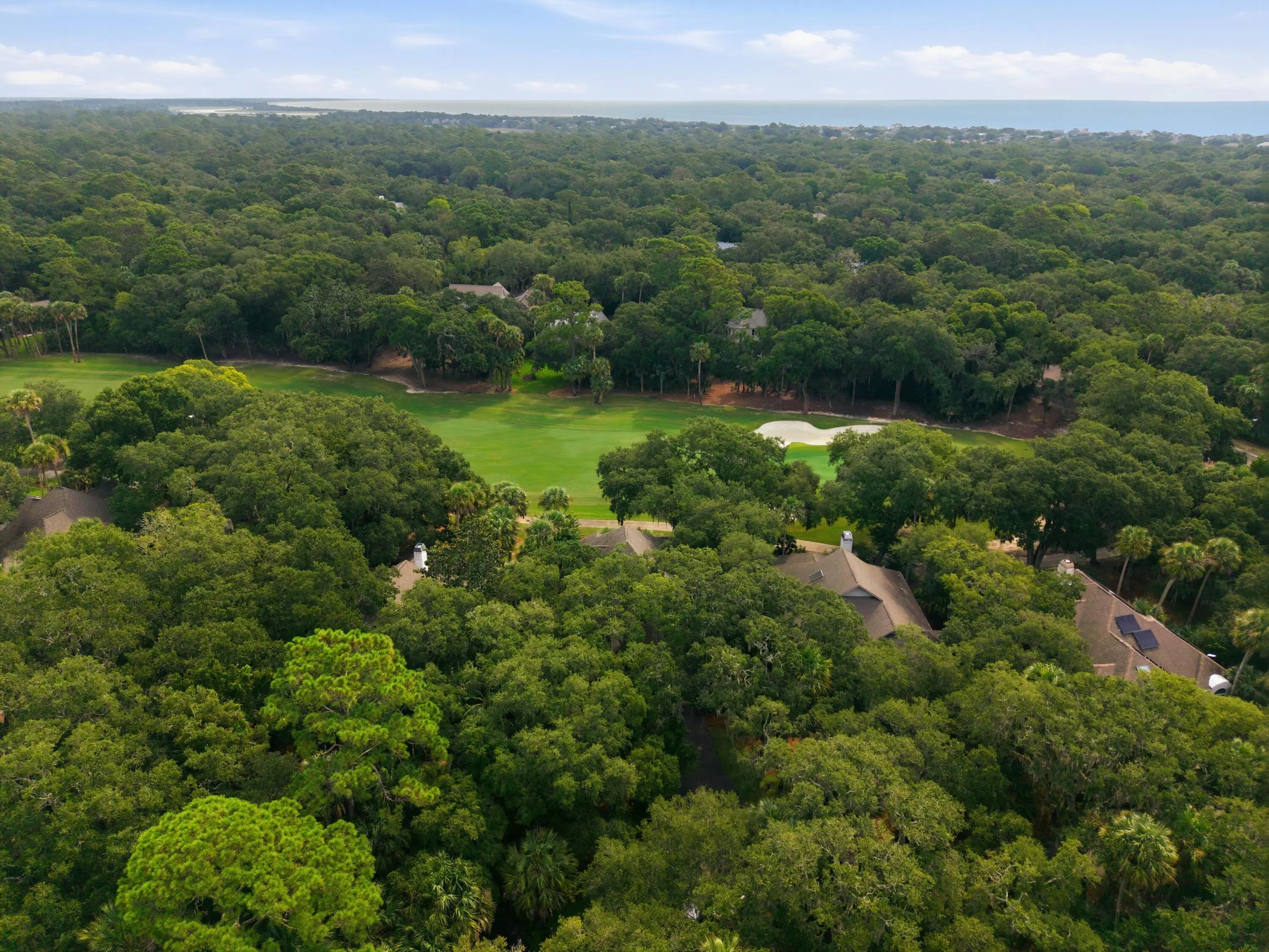 3023 Hidden Oak Drive, Seabrook Island, SC, 29455