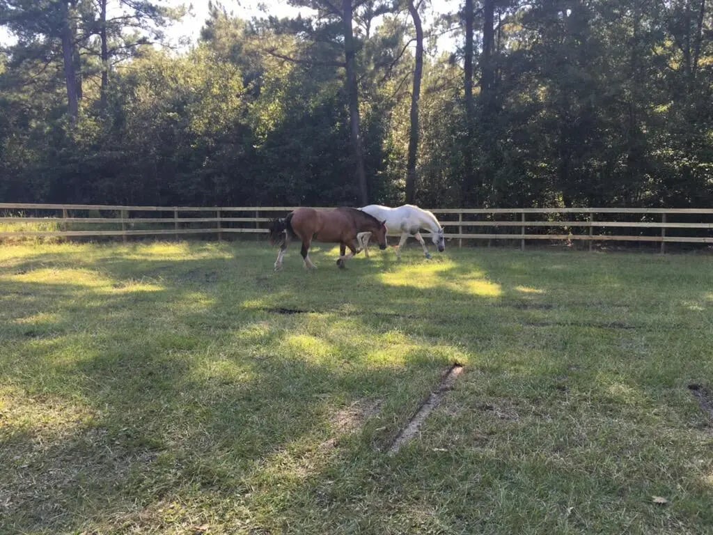 Photo of Listing #25002300