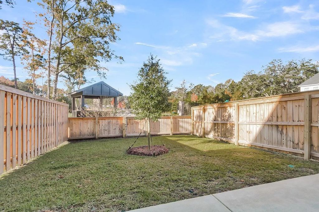 8 Dahlberg Street, Summerville