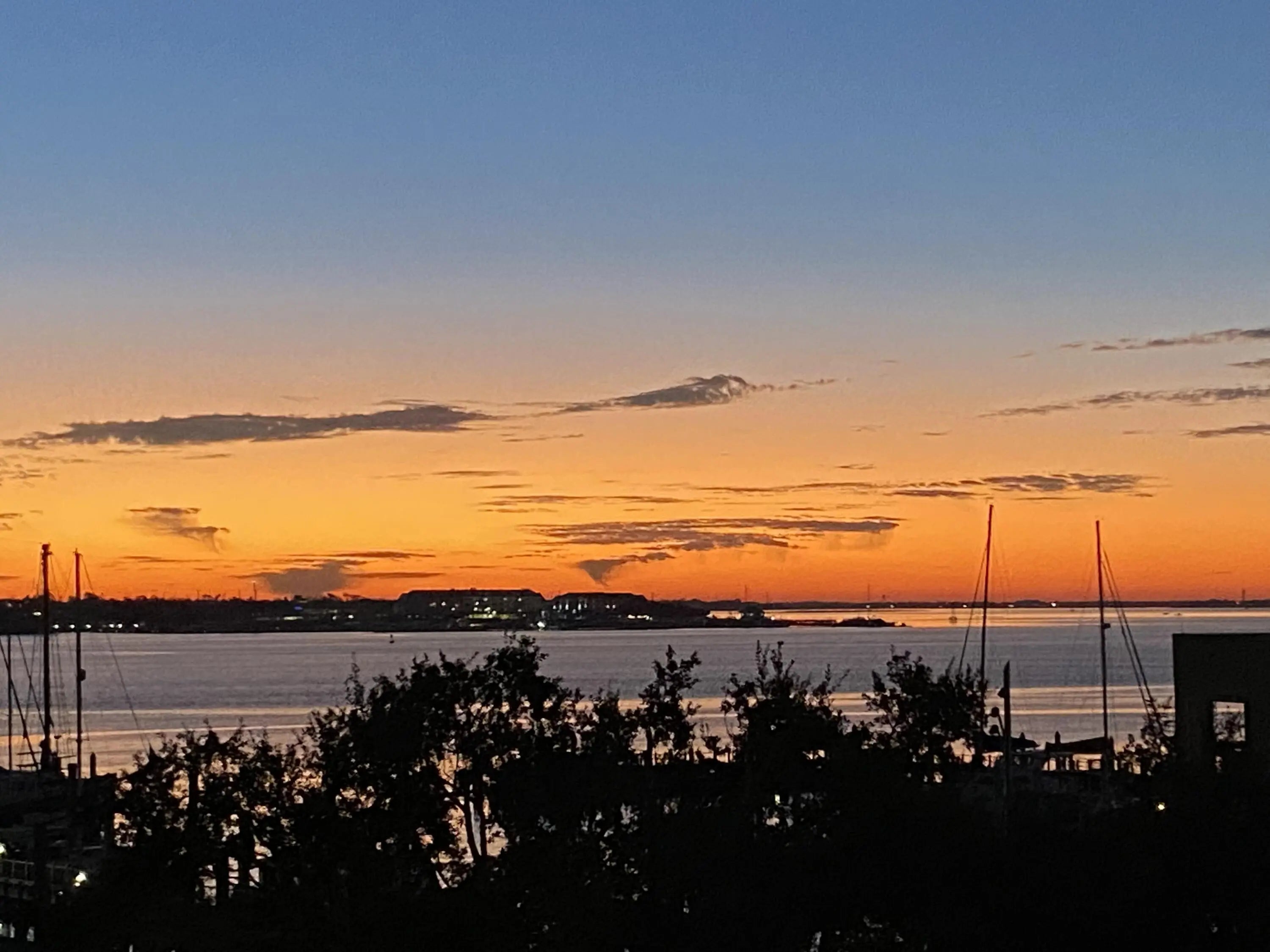 Photo of Listing #25009704