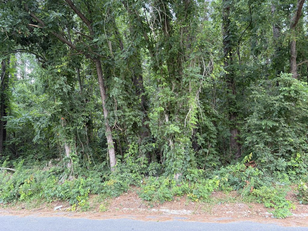 314 E Poplar Branch Drive, Moncks Corner