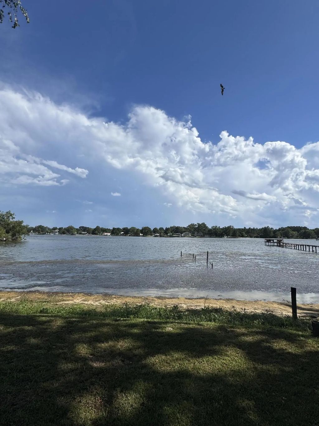 1665 Taw Caw Drive, Summerton