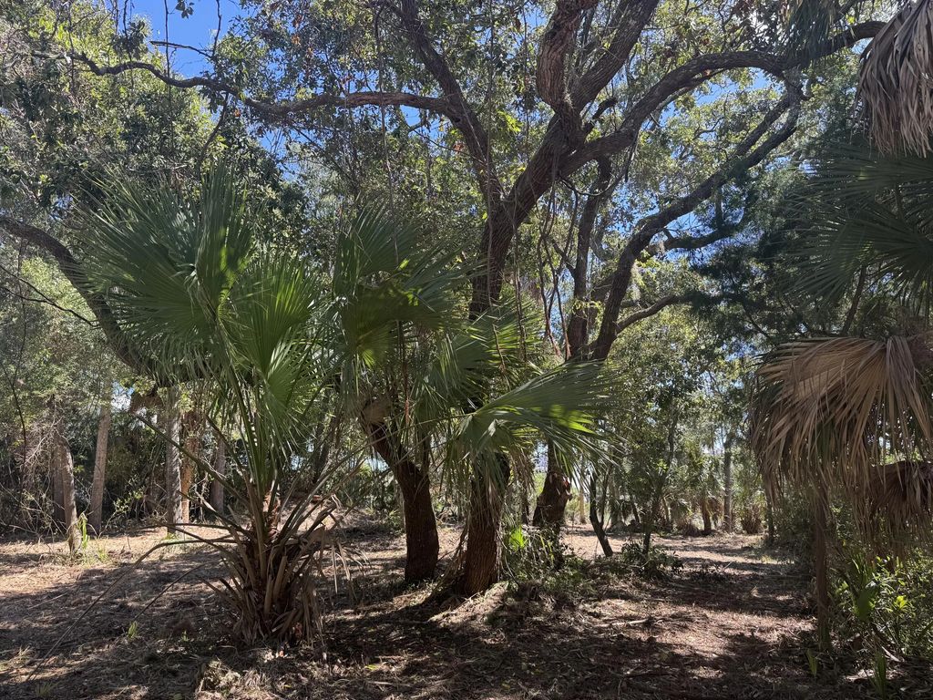 211 Lilly Street, Edisto Island