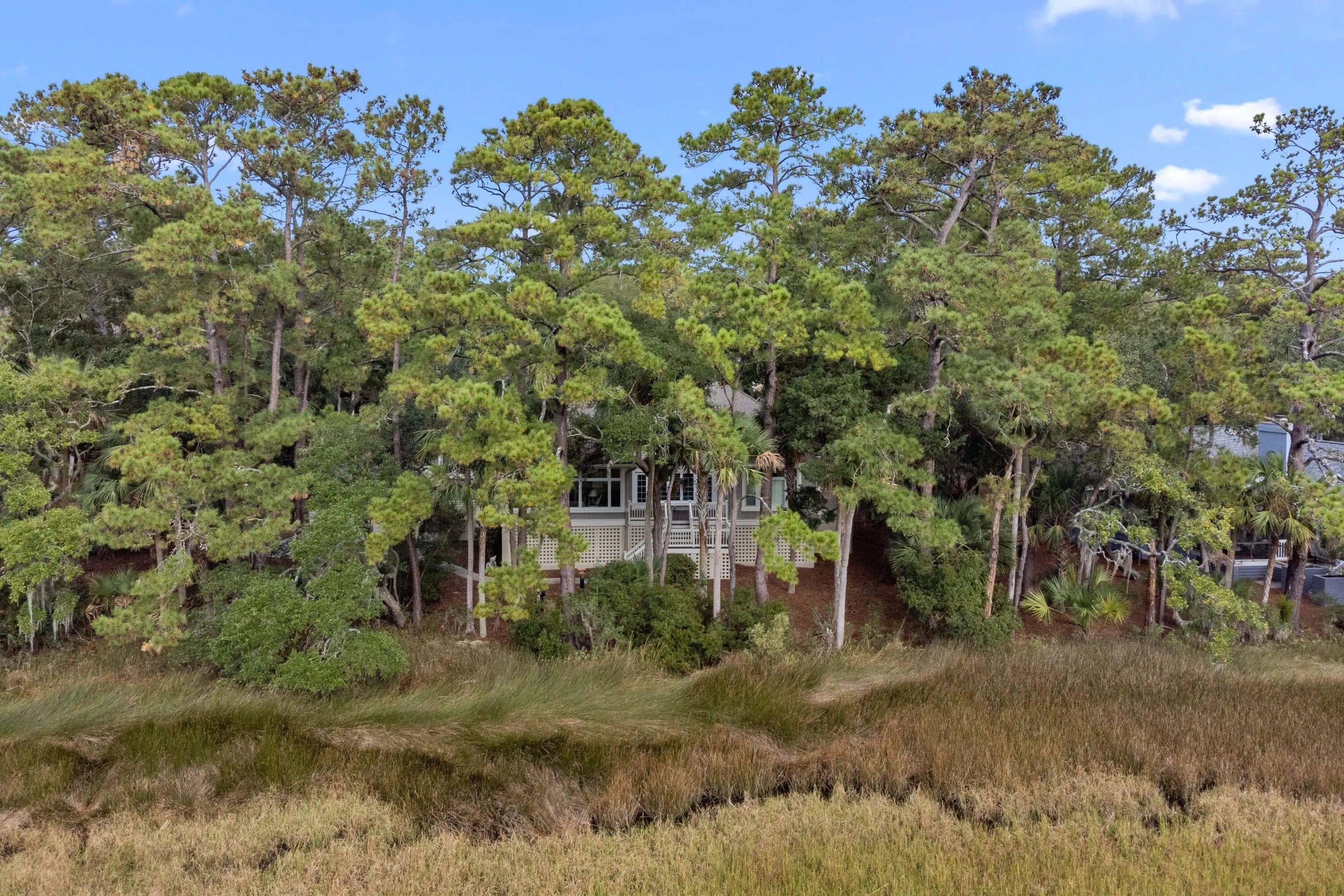 2515 Cat Tail Pond Road, Seabrook Island, SC, 29455