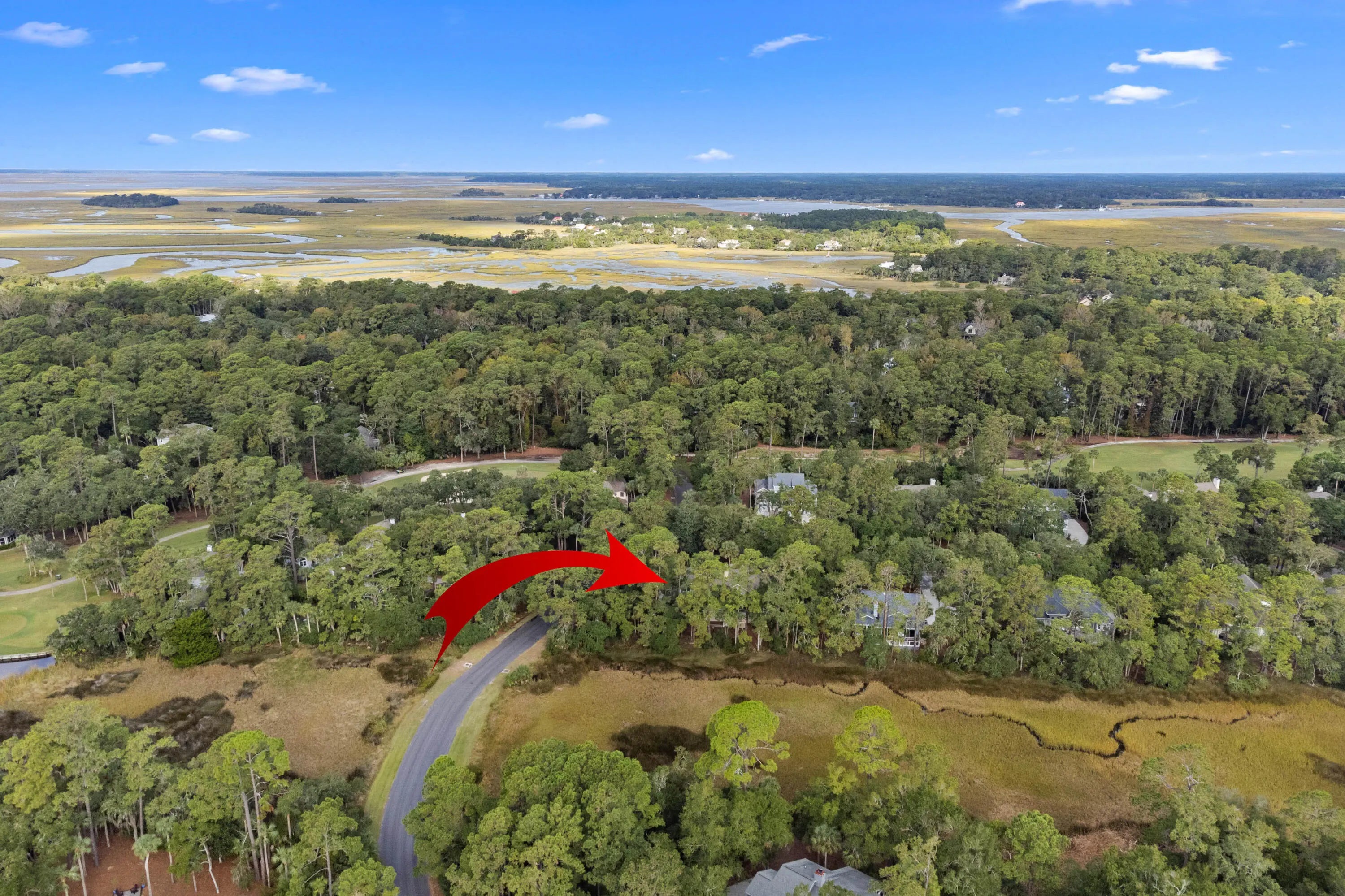 2515 Cat Tail Pond Road, Seabrook Island, SC, 29455