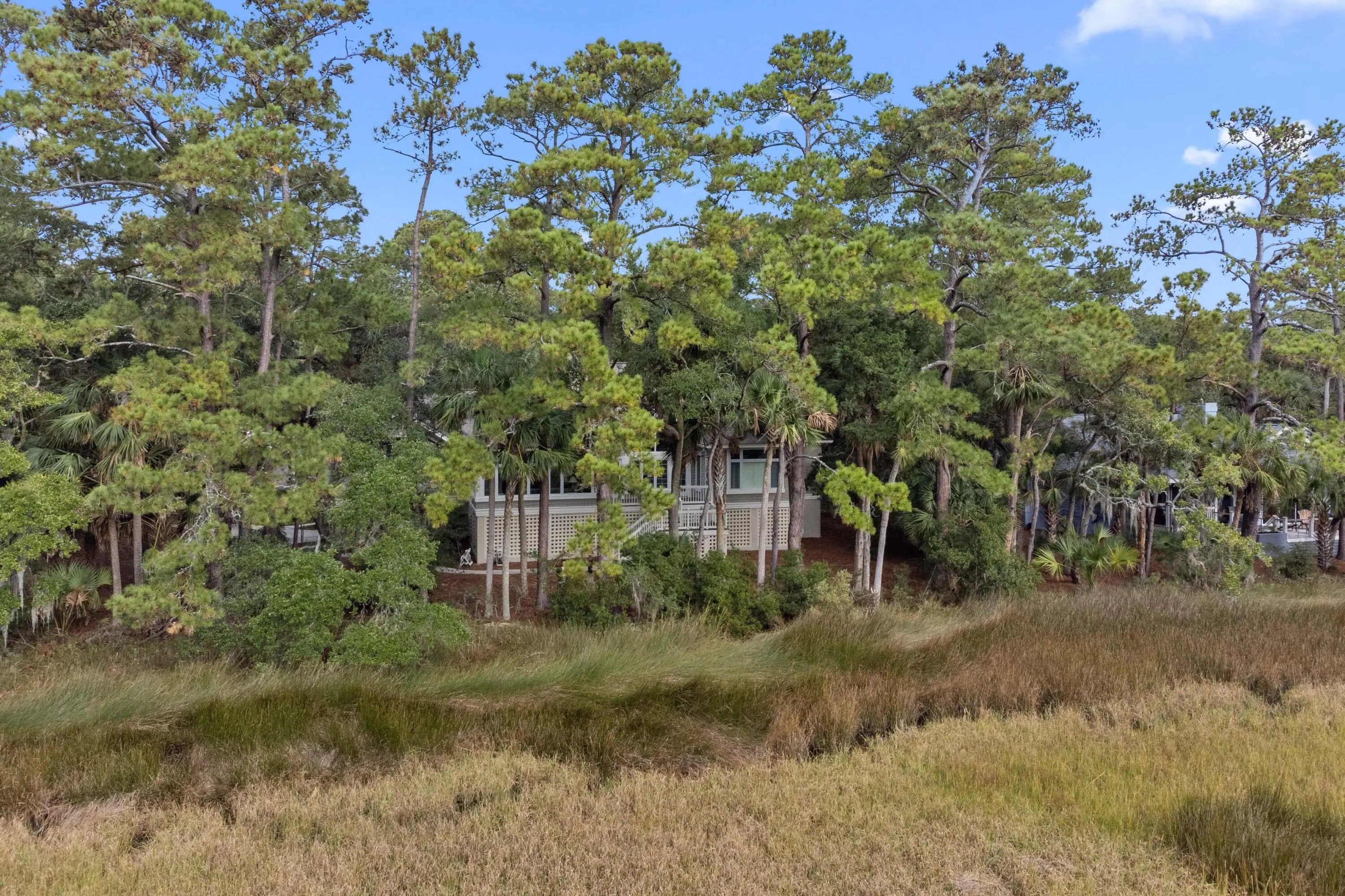 2515 Cat Tail Pond Road, Seabrook Island, SC, 29455