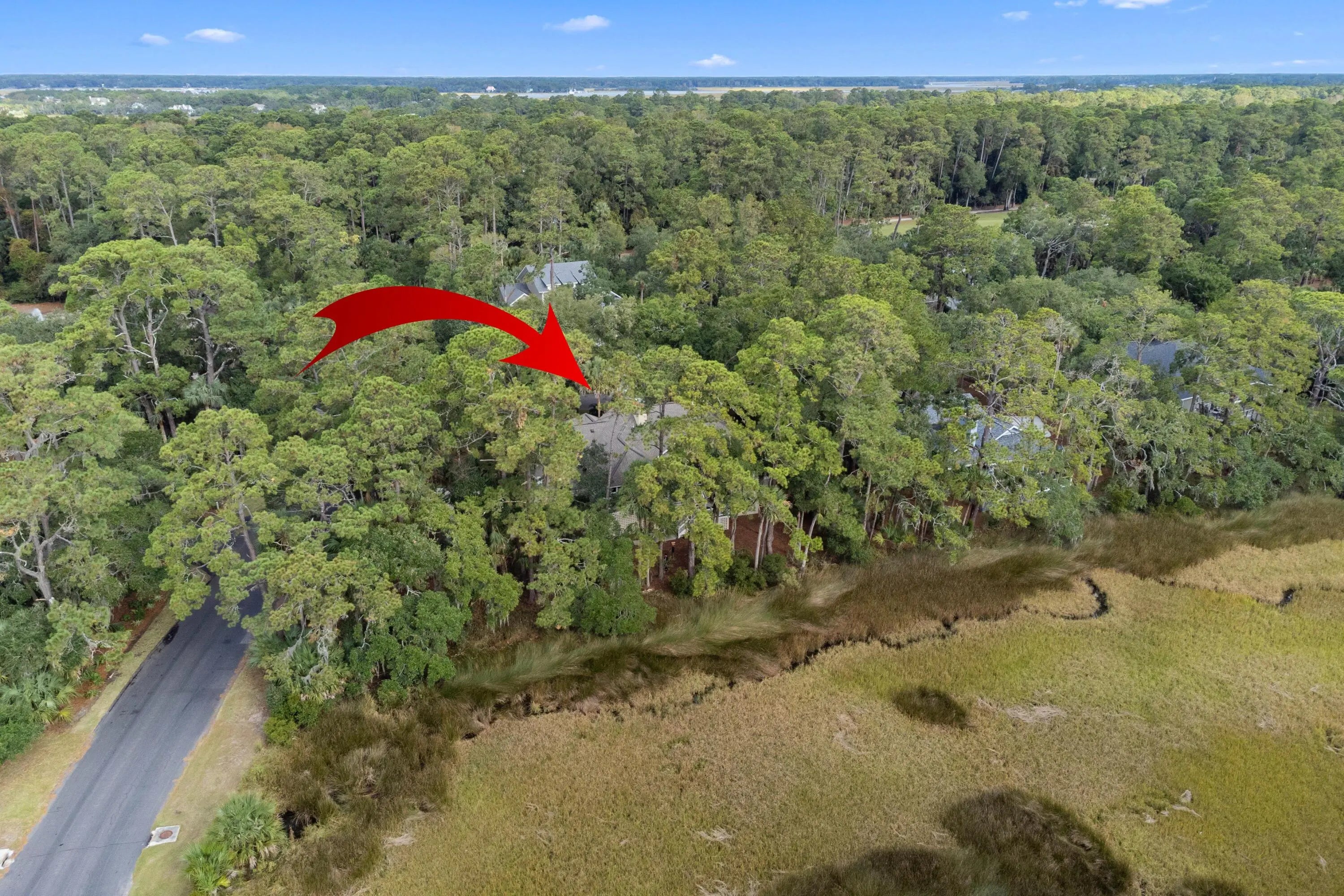 2515 Cat Tail Pond Road, Seabrook Island, SC, 29455
