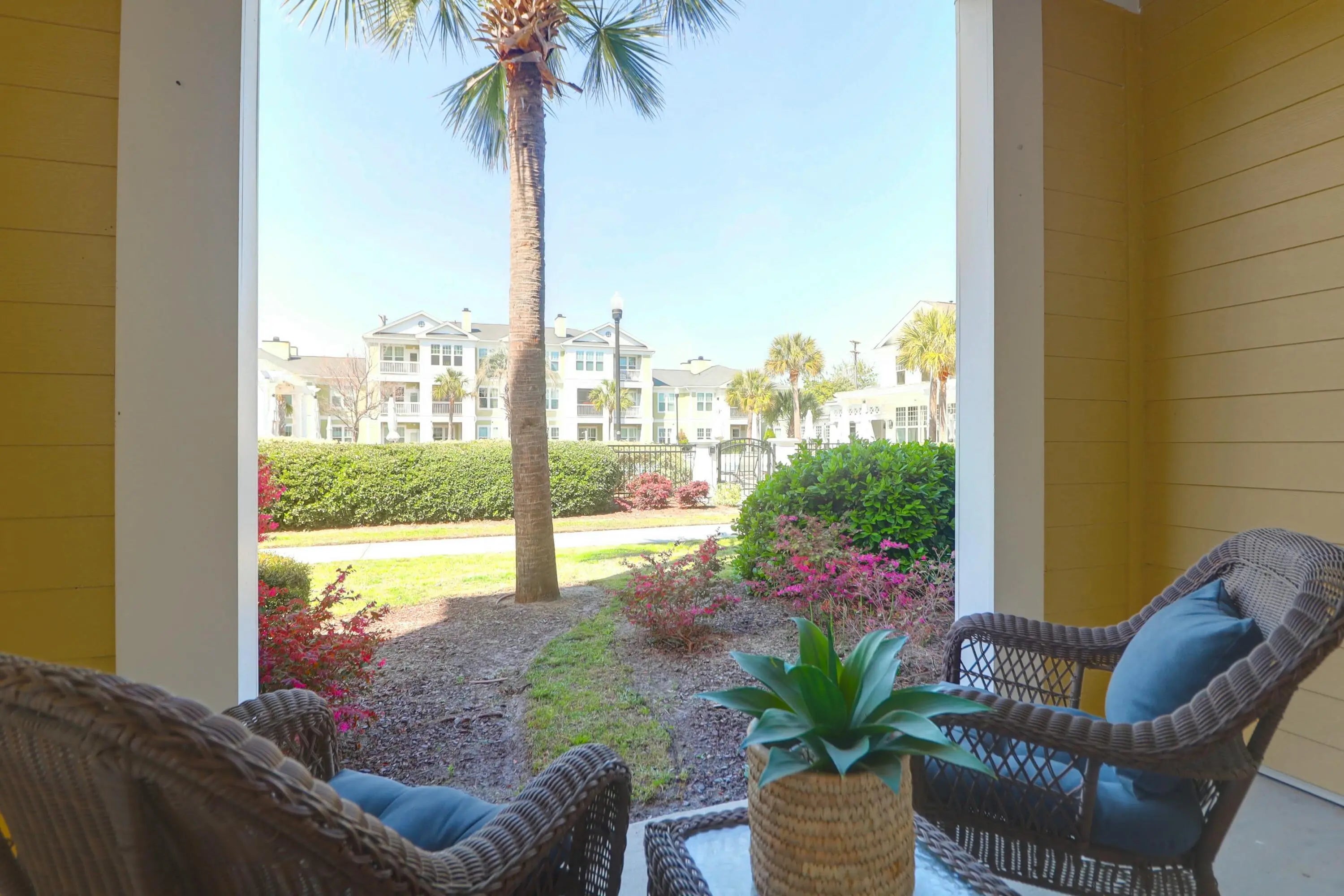 Photo of Listing #25008437