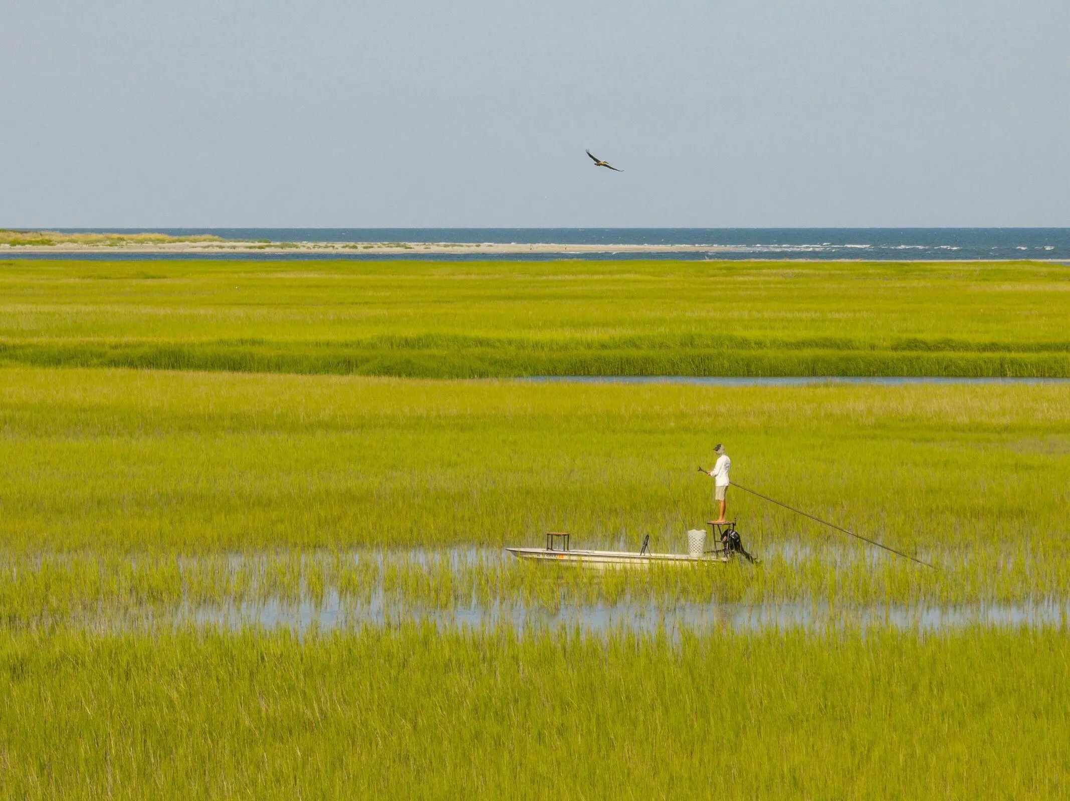 2571 High Hammock Road, Seabrook Island, SC, 29455