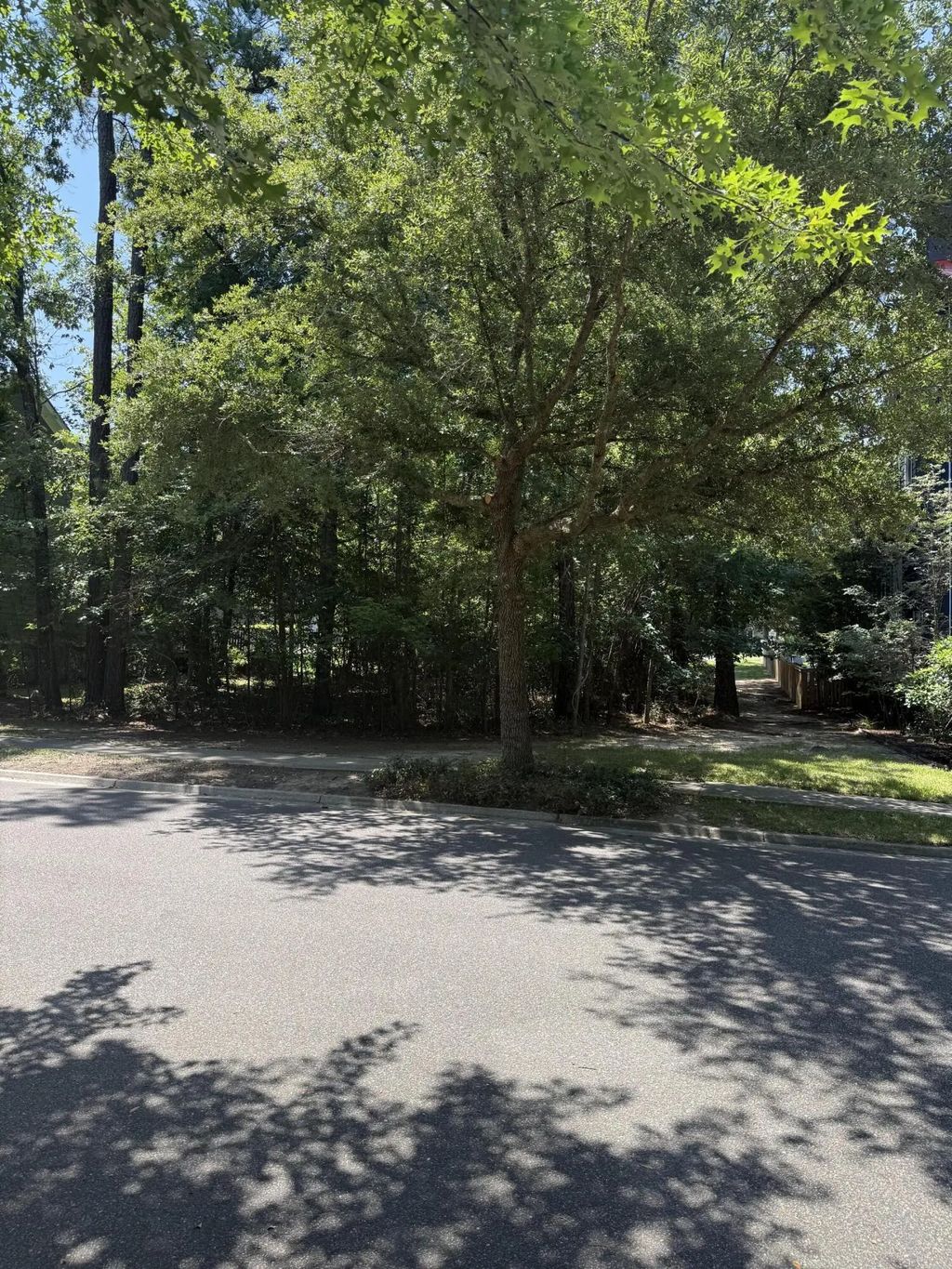 235 Lotz Drive, Summerville