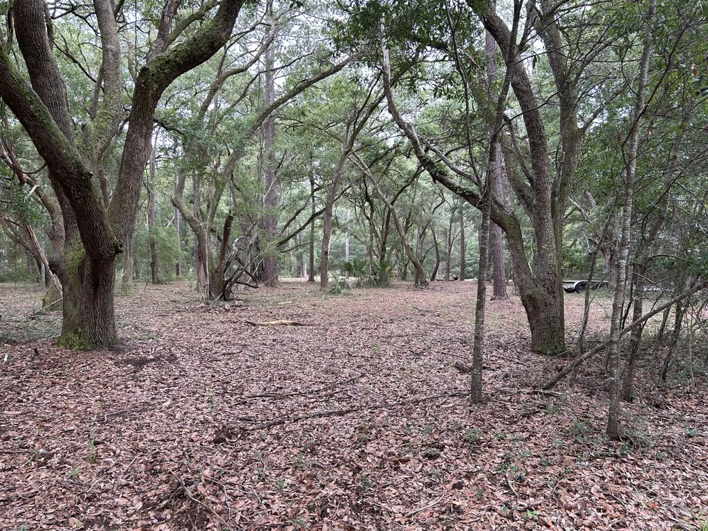 1470 Marsh Bluff Court, Edisto Island