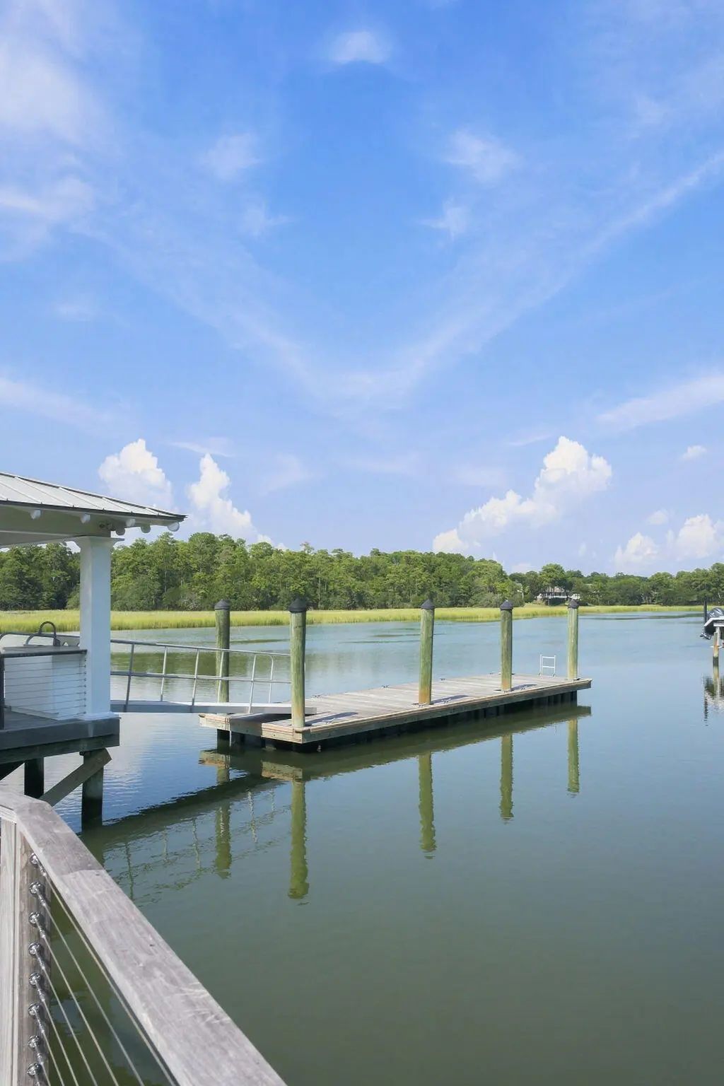 674 Olde Salt Run, Mount Pleasant, SC, 29464